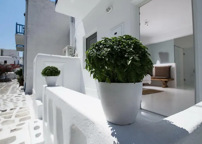 Gasthuis Arktos White *